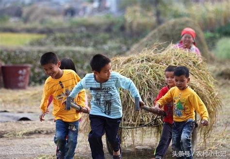 老話一句|老話的意思